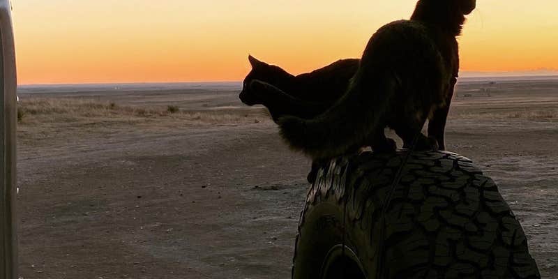 Camper submitted image from Pawnee Buttes - Dispersed Camping