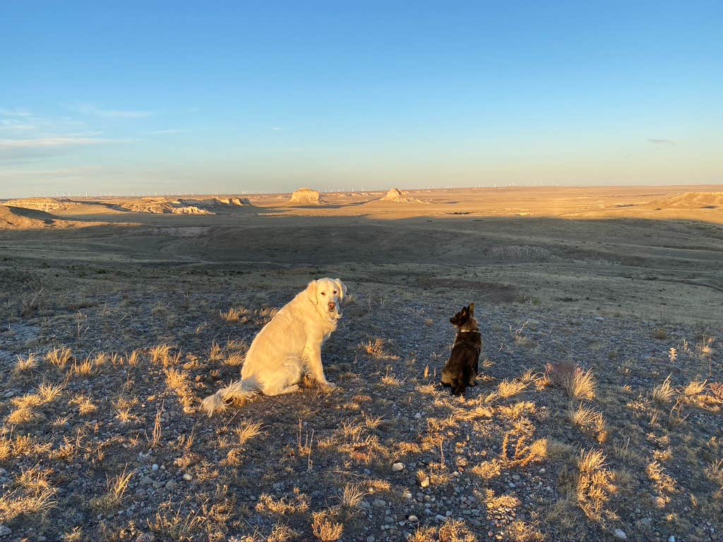 Camper-submitted photo at Pawnee Buttes - Dispersed Camping near Sterling, CO