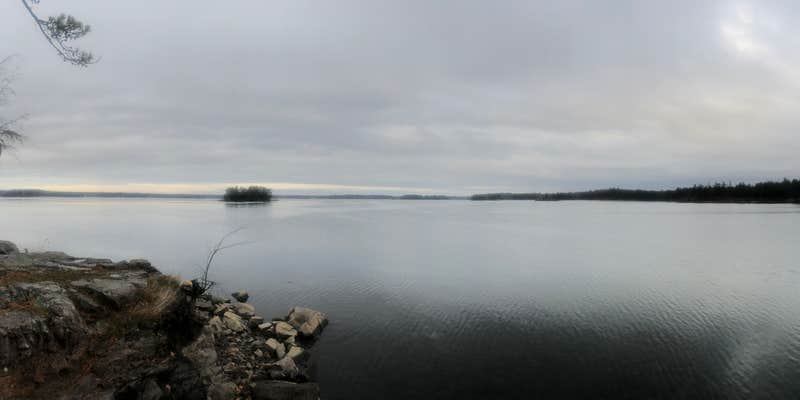 Camper submitted image from Wellesley Island State Park Campground