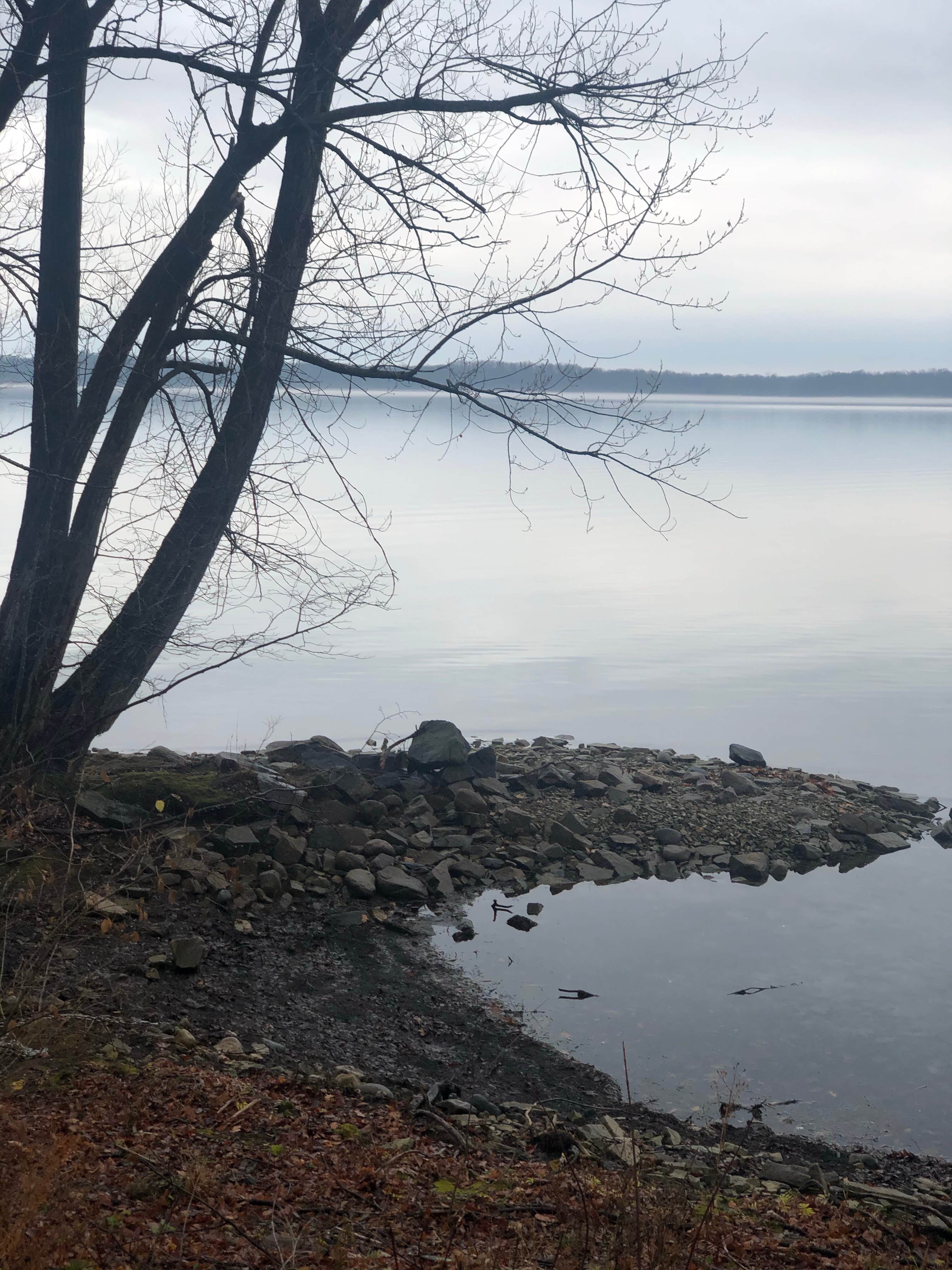 Camper-submitted photo at Wellesley Island State Park Campground near Great Bend, NY