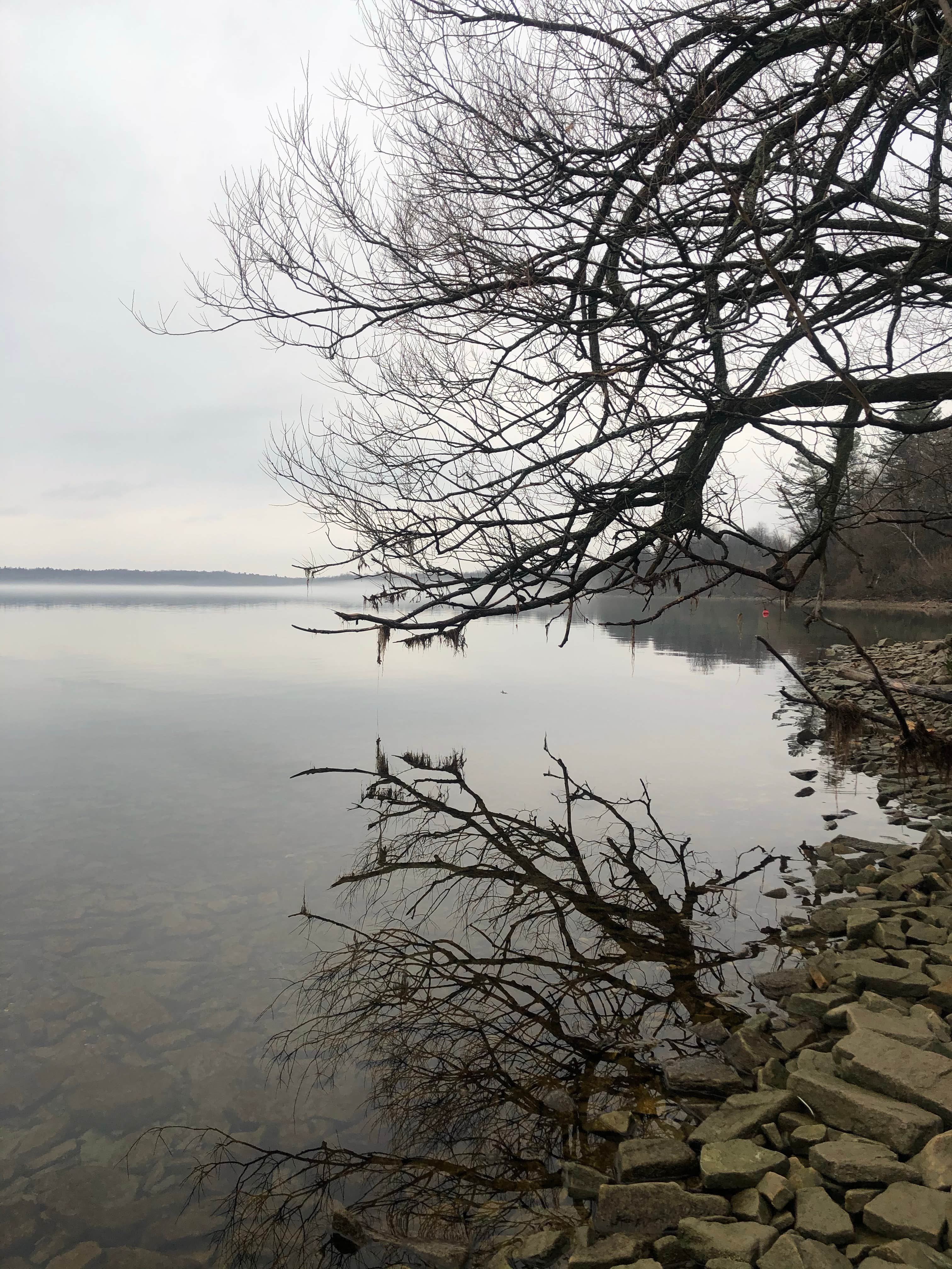 View All
