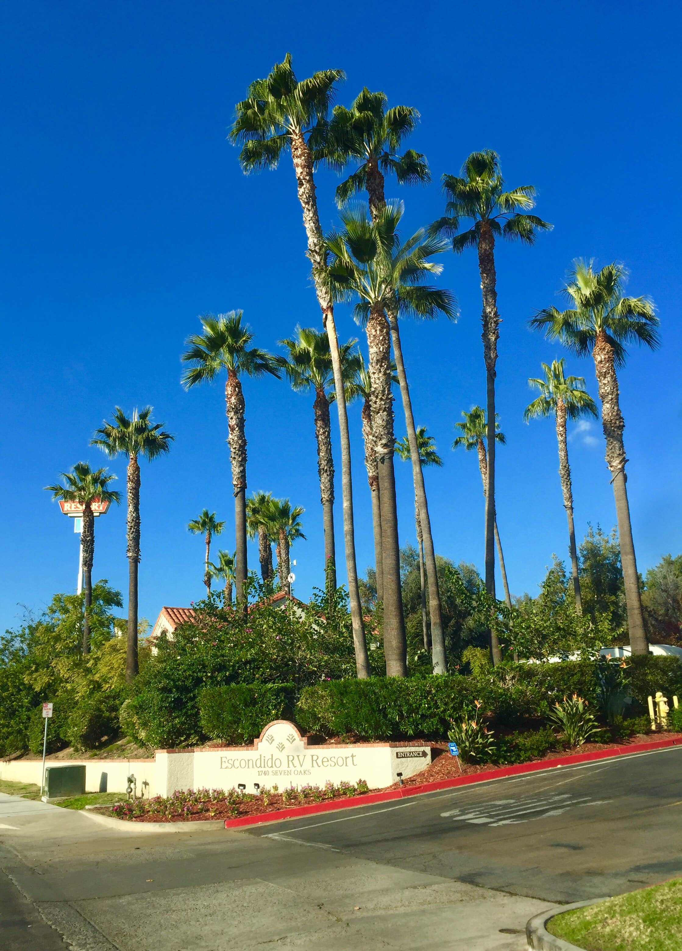 Camper-submitted photo at Escondido RV Resort near Bonita, CA
