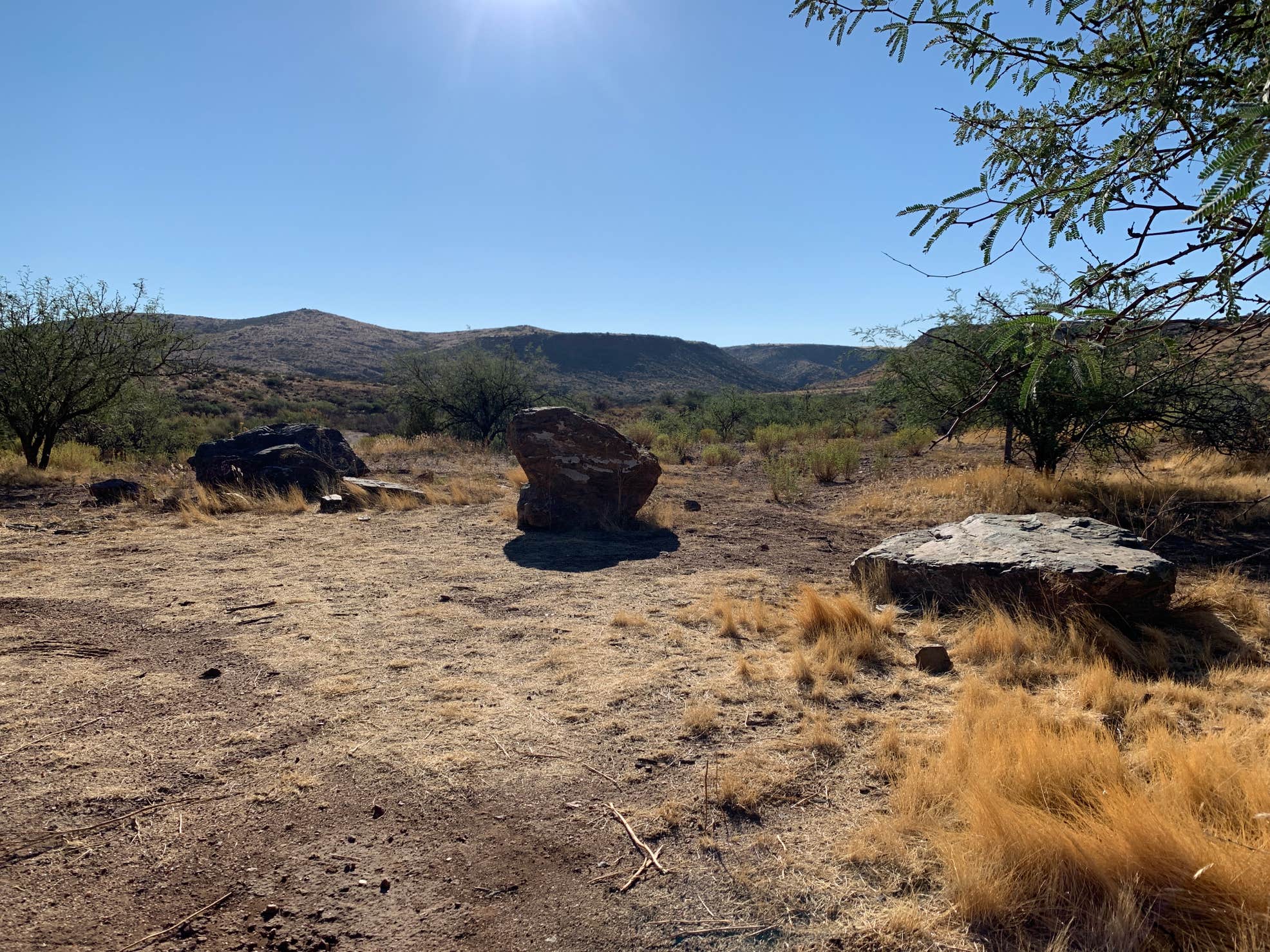 Badger Springs Camping The Dyrt