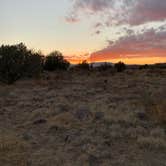 Review photo of West Sedona Designated Dispersed Camping by Julia & Ellison T., December 12, 2020