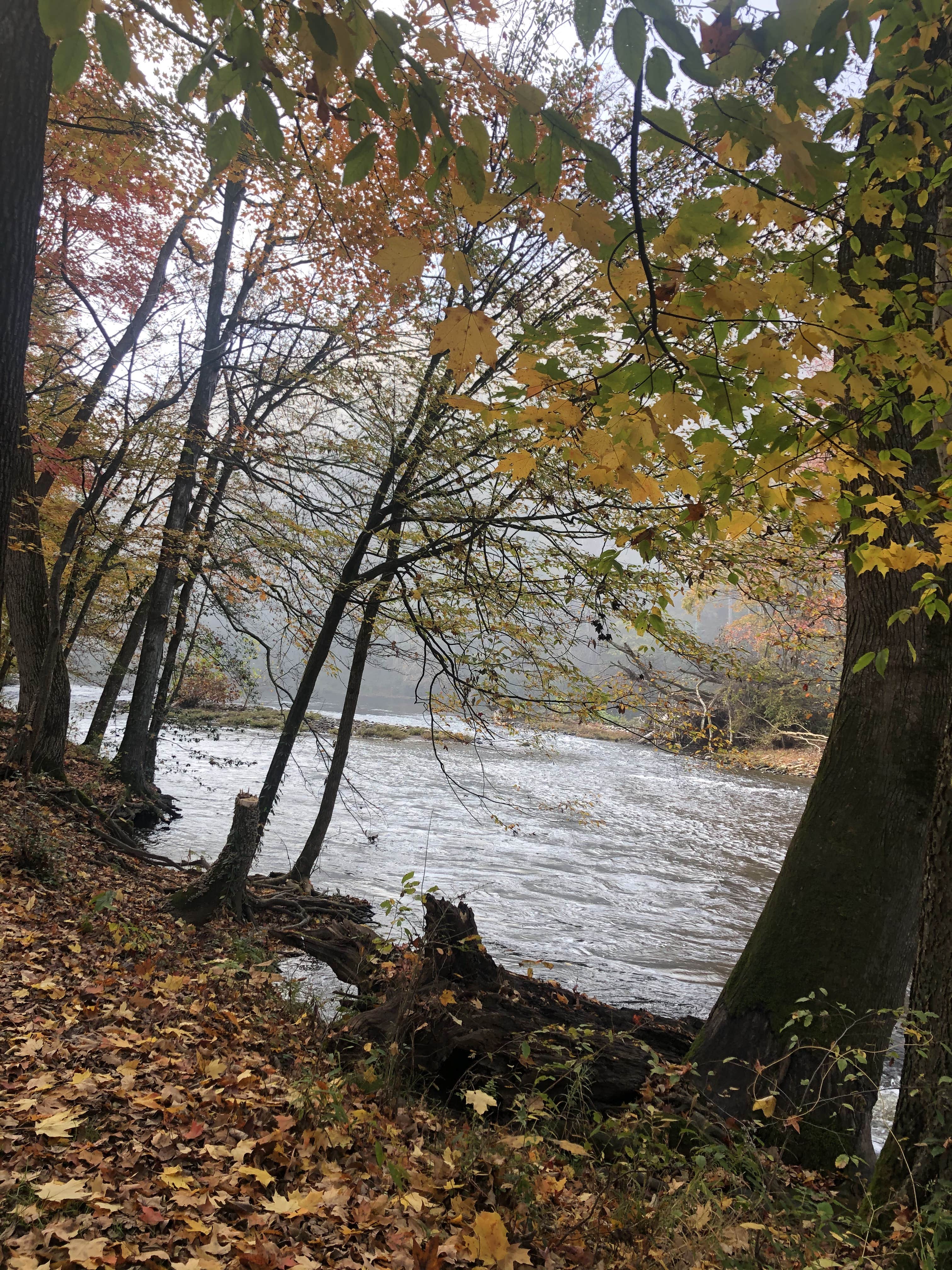 Camper-submitted photo at Fox Fire Riverside Campground near Hartford, TN