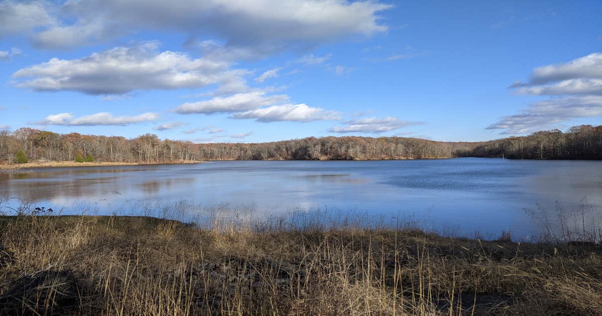 Village Creek State Park Campground | Wynne, AR