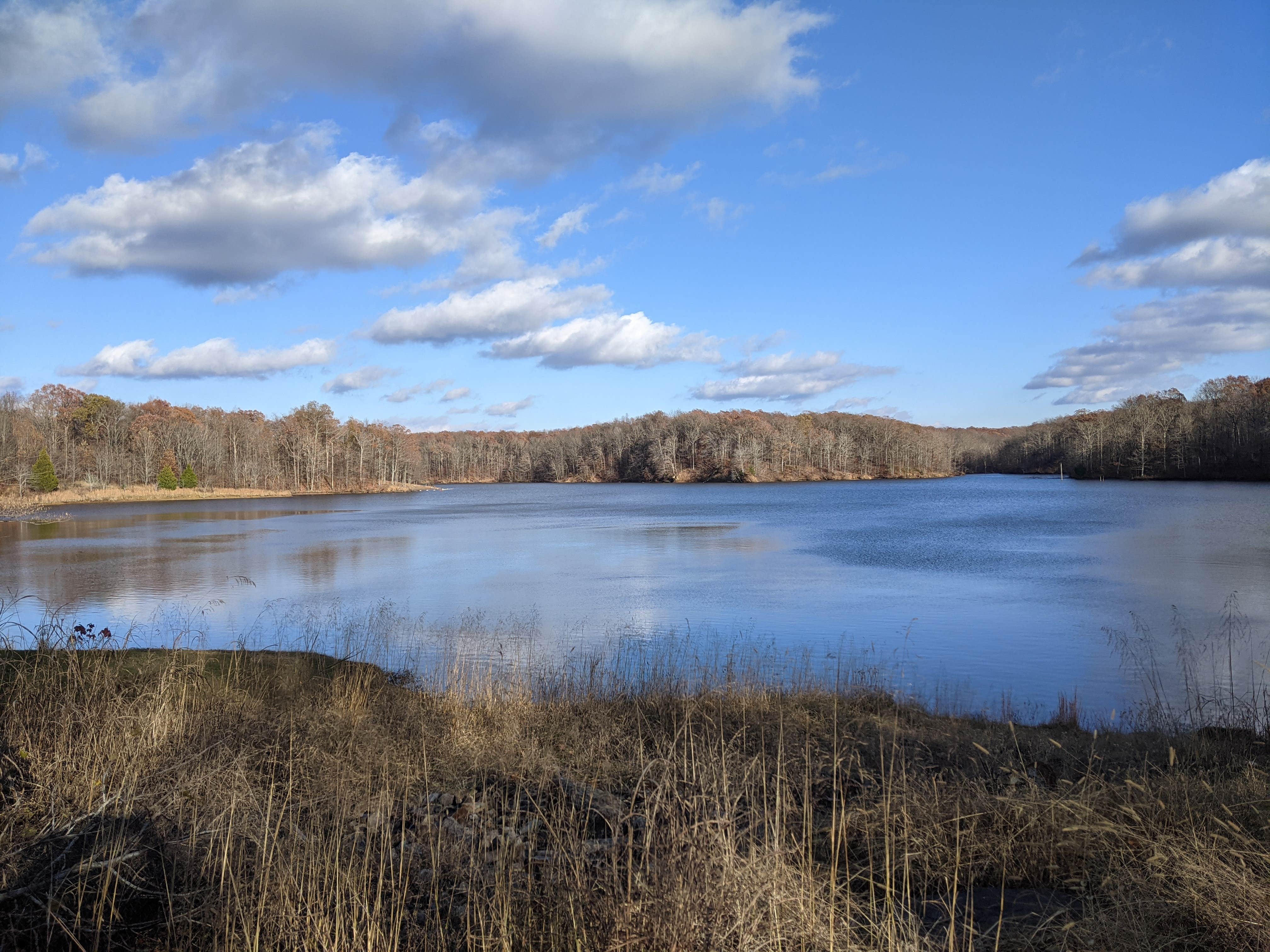 Camper submitted image from Village Creek State Park Campground - 1