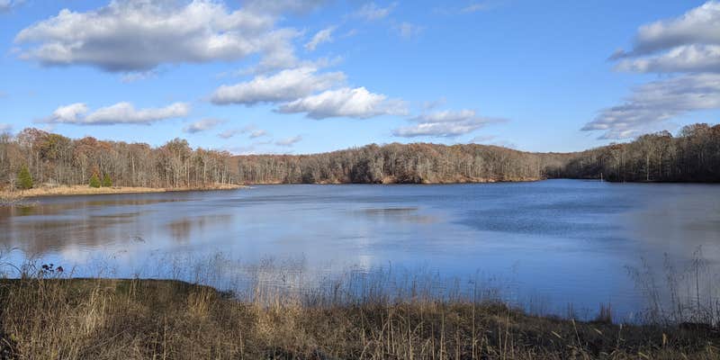 Camper submitted image from Village Creek State Park Campground