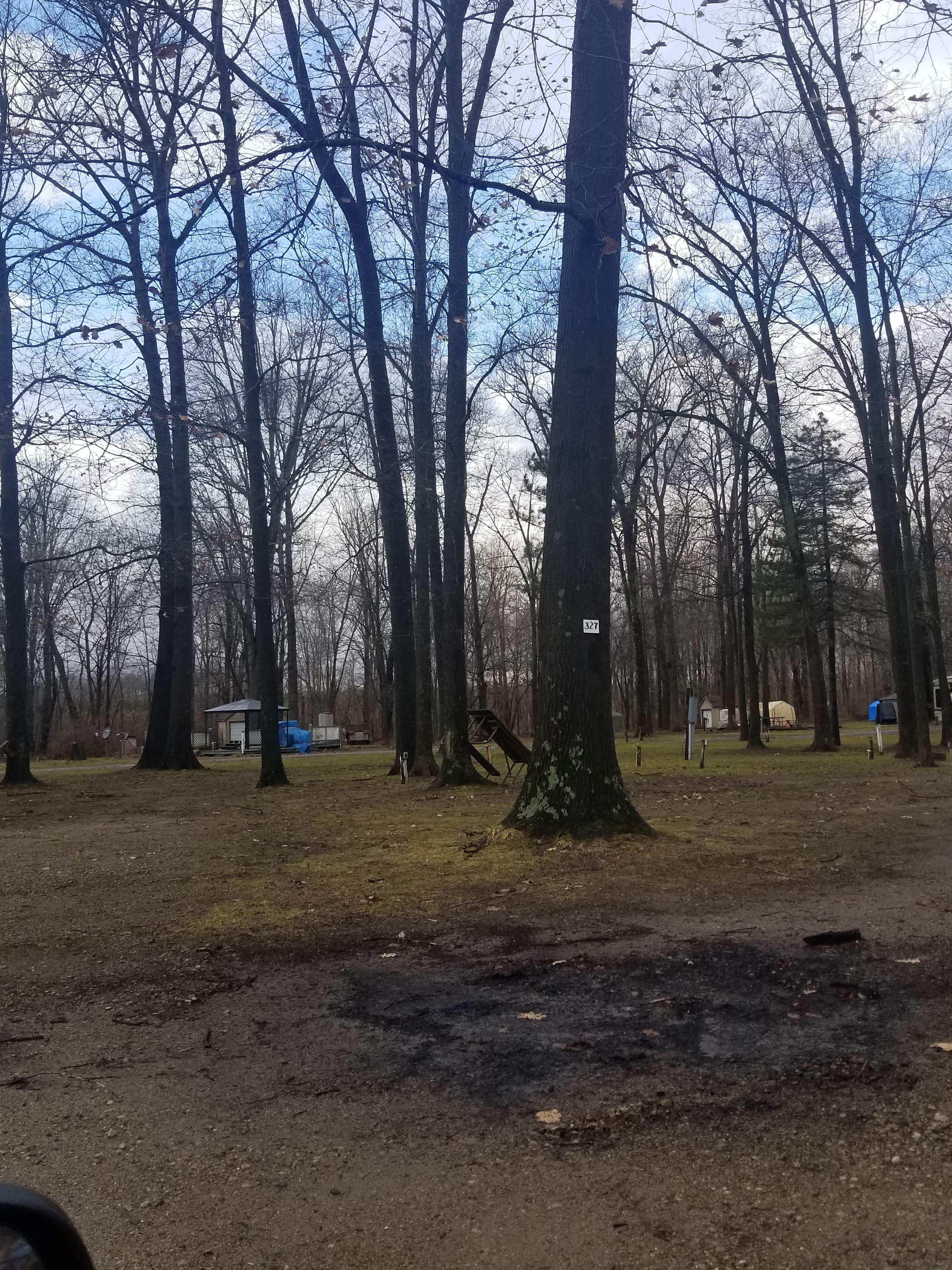 Lydia T.'s photo at Heartland Country Music Resort near Charlotte, MI