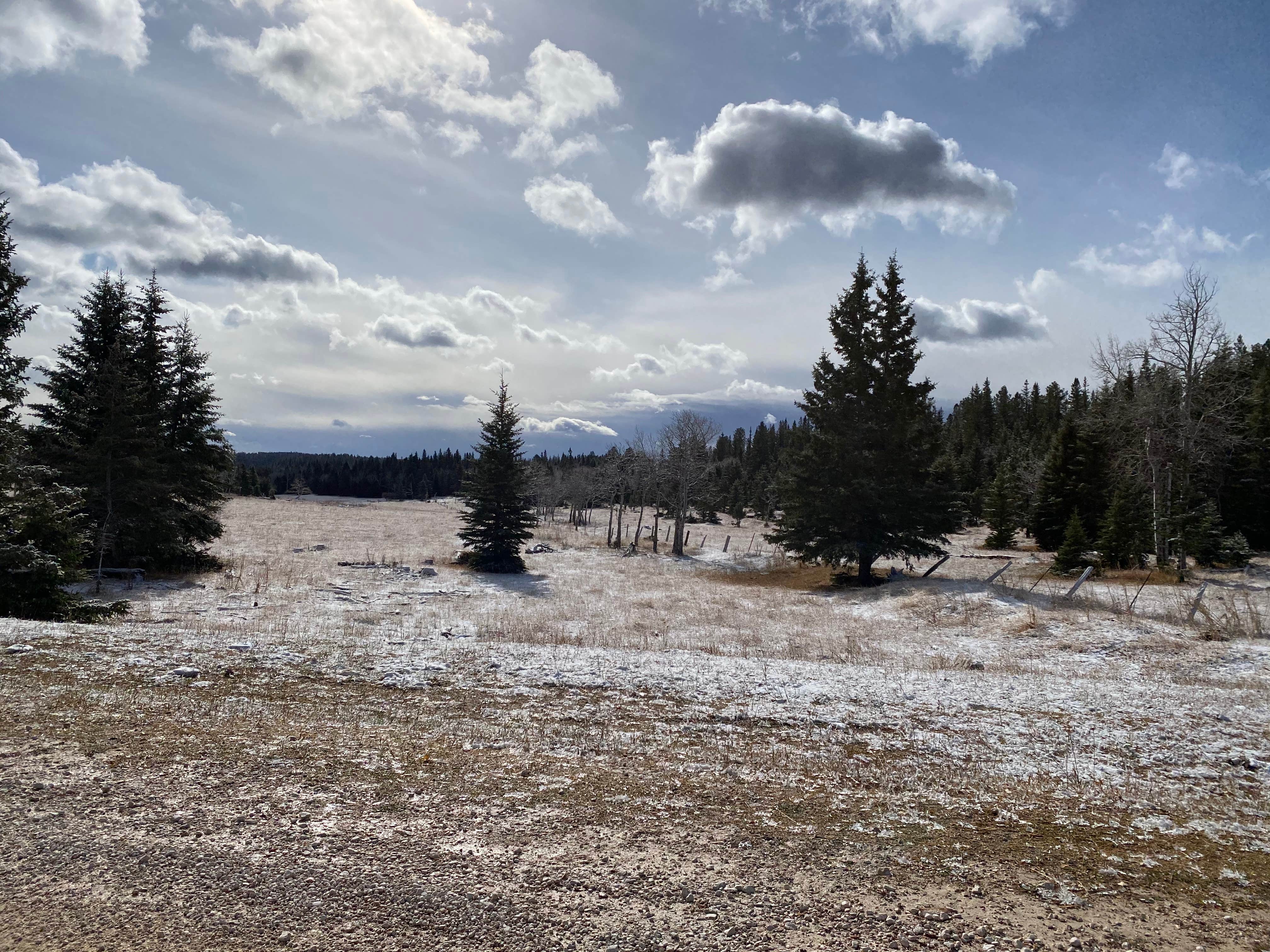 Whitetail Campground