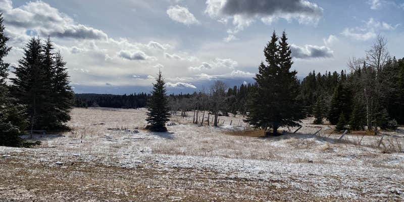 Camper submitted image from Whitetail Campground