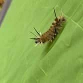 Review photo of Adventure Bound Washington DC by Kristy R., December 13, 2020