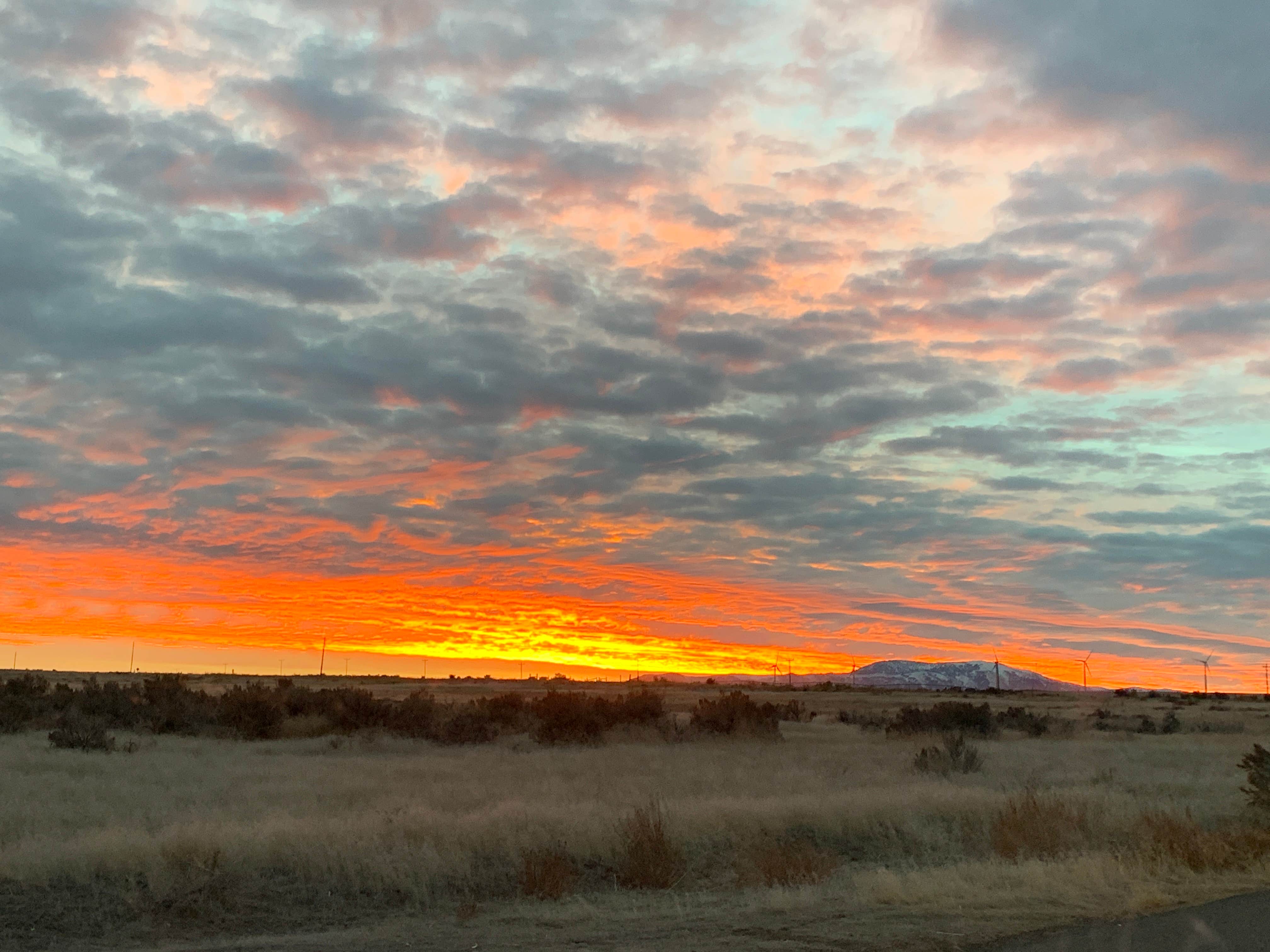 Camper submitted image from Milner Historic Recreation Area - 1