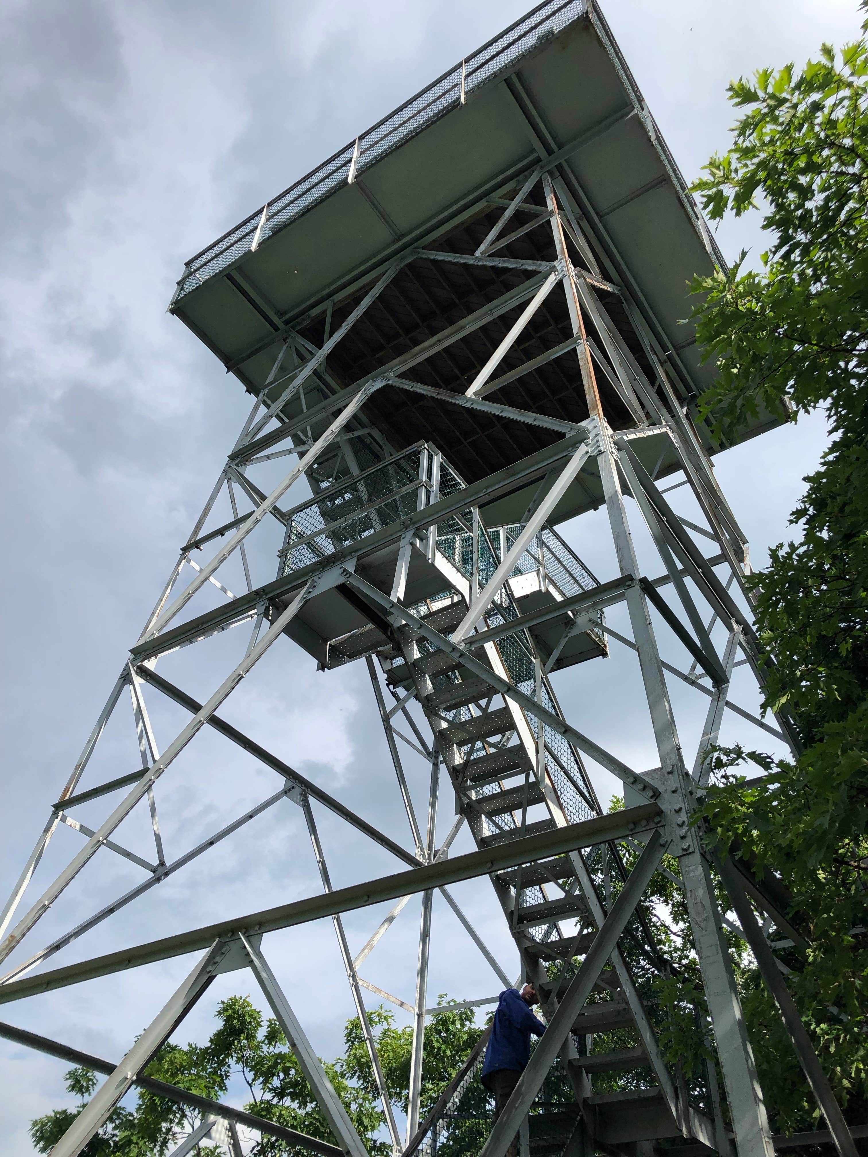 Camper submitted image from Albert Mountain Firetower Dispersed Campsite - 4