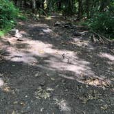 Review photo of Albert Mountain Firetower Dispersed Campsite by Asher K., December 13, 2020