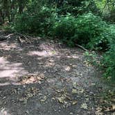 Review photo of Albert Mountain Firetower Dispersed Campsite by Asher K., December 13, 2020