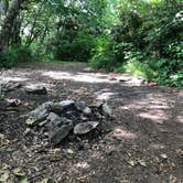 Review photo of Albert Mountain Firetower Dispersed Campsite by Asher K., December 13, 2020