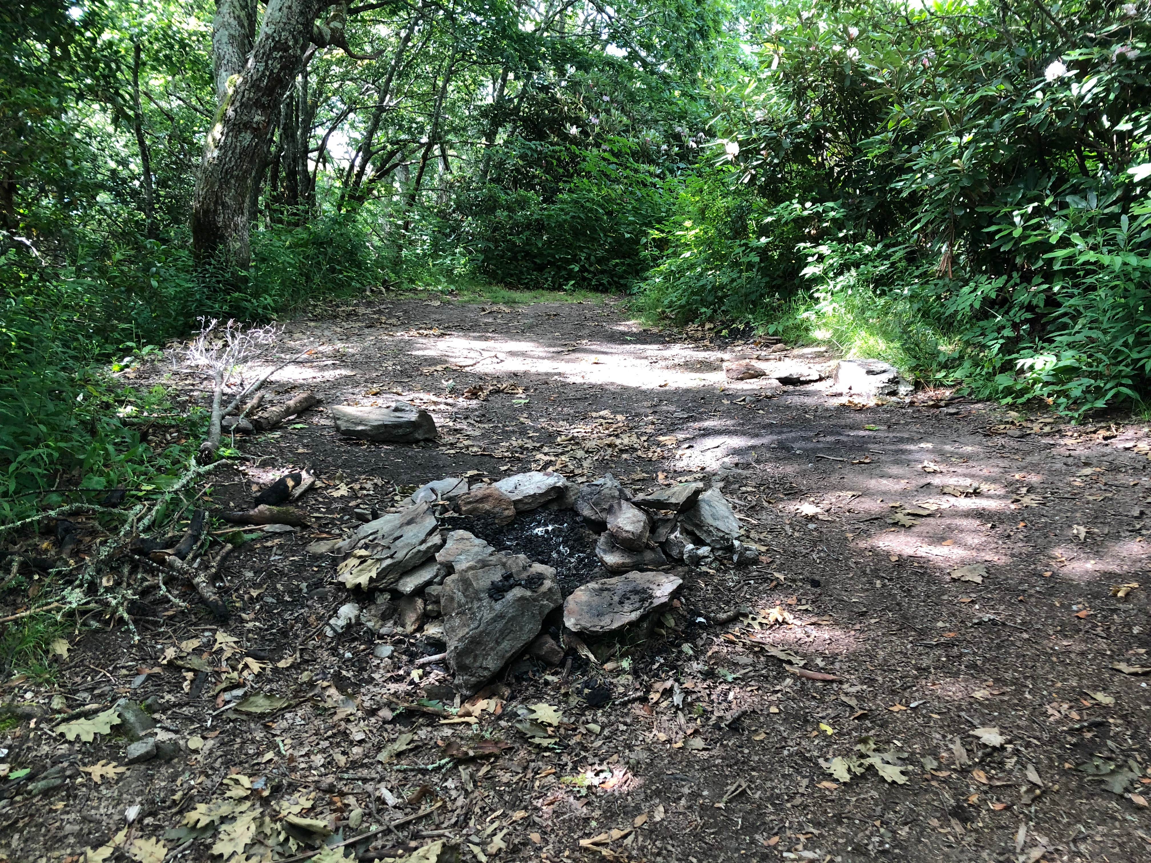 Camper submitted image from Albert Mountain Firetower Dispersed Campsite - 1