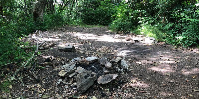 Camper submitted image from Albert Mountain Firetower Dispersed Campsite