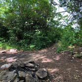 Review photo of Albert Mountain Firetower Dispersed Campsite by Asher K., December 13, 2020