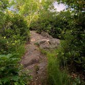 Review photo of Albert Mountain Firetower Dispersed Campsite by Asher K., December 13, 2020