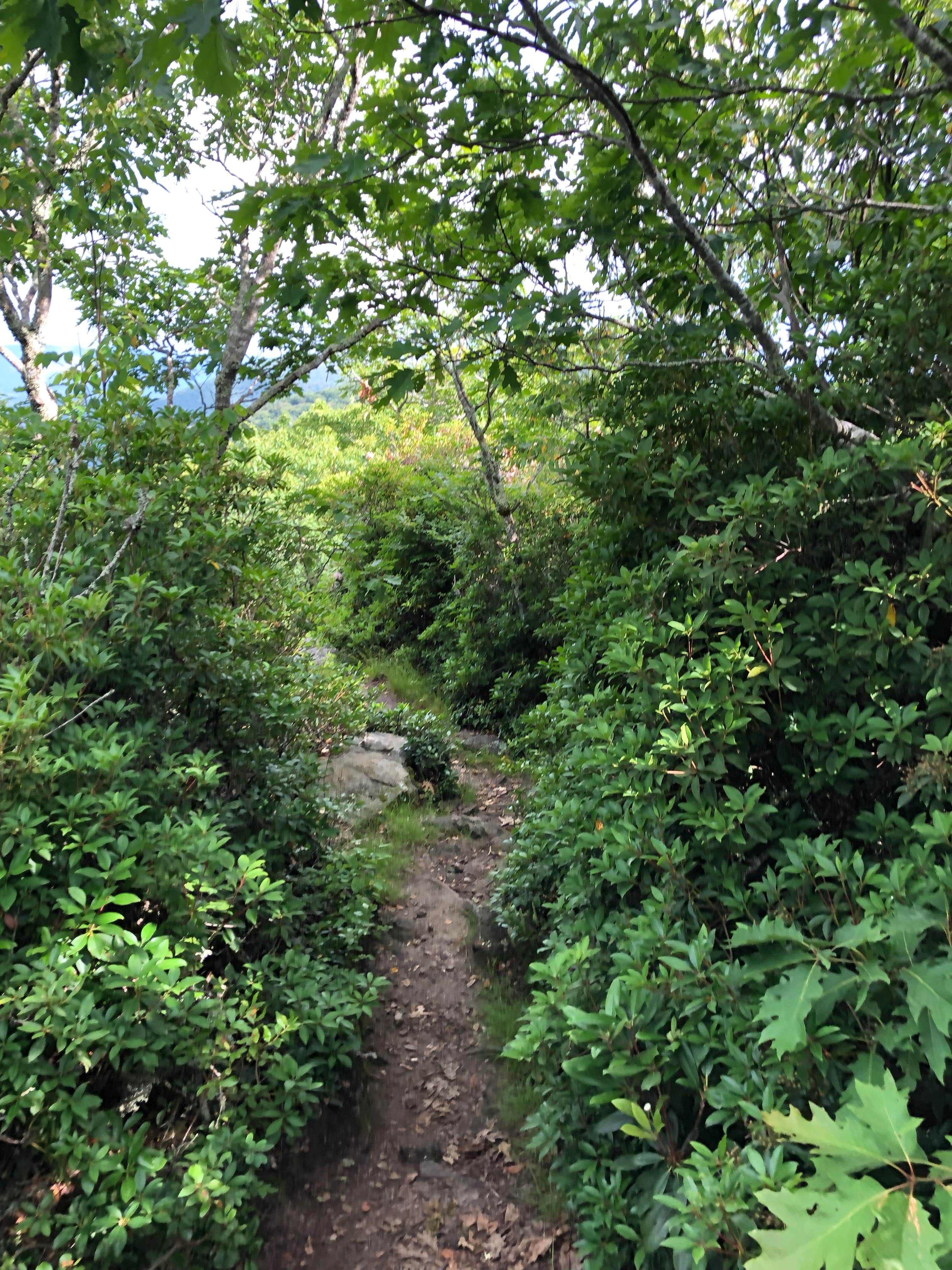 Camper-submitted photo at Albert Mountain Firetower Dispersed Campsite near Otto, NC