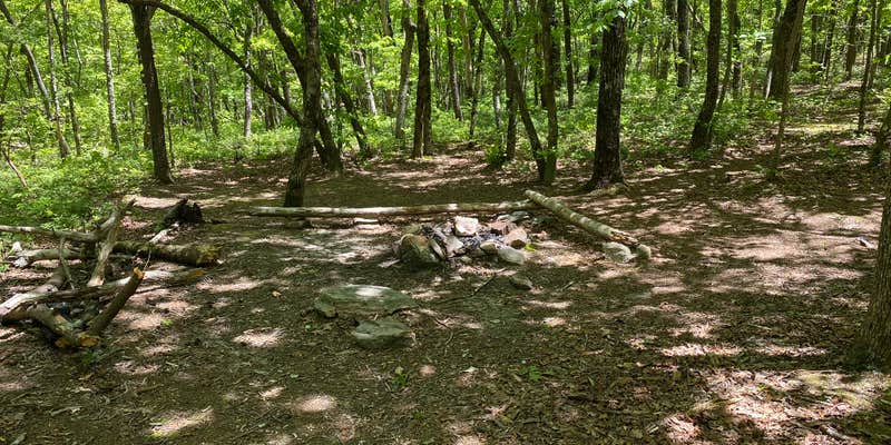 Camper submitted image from Pinhoti Backcountry Campground near Odum Trail