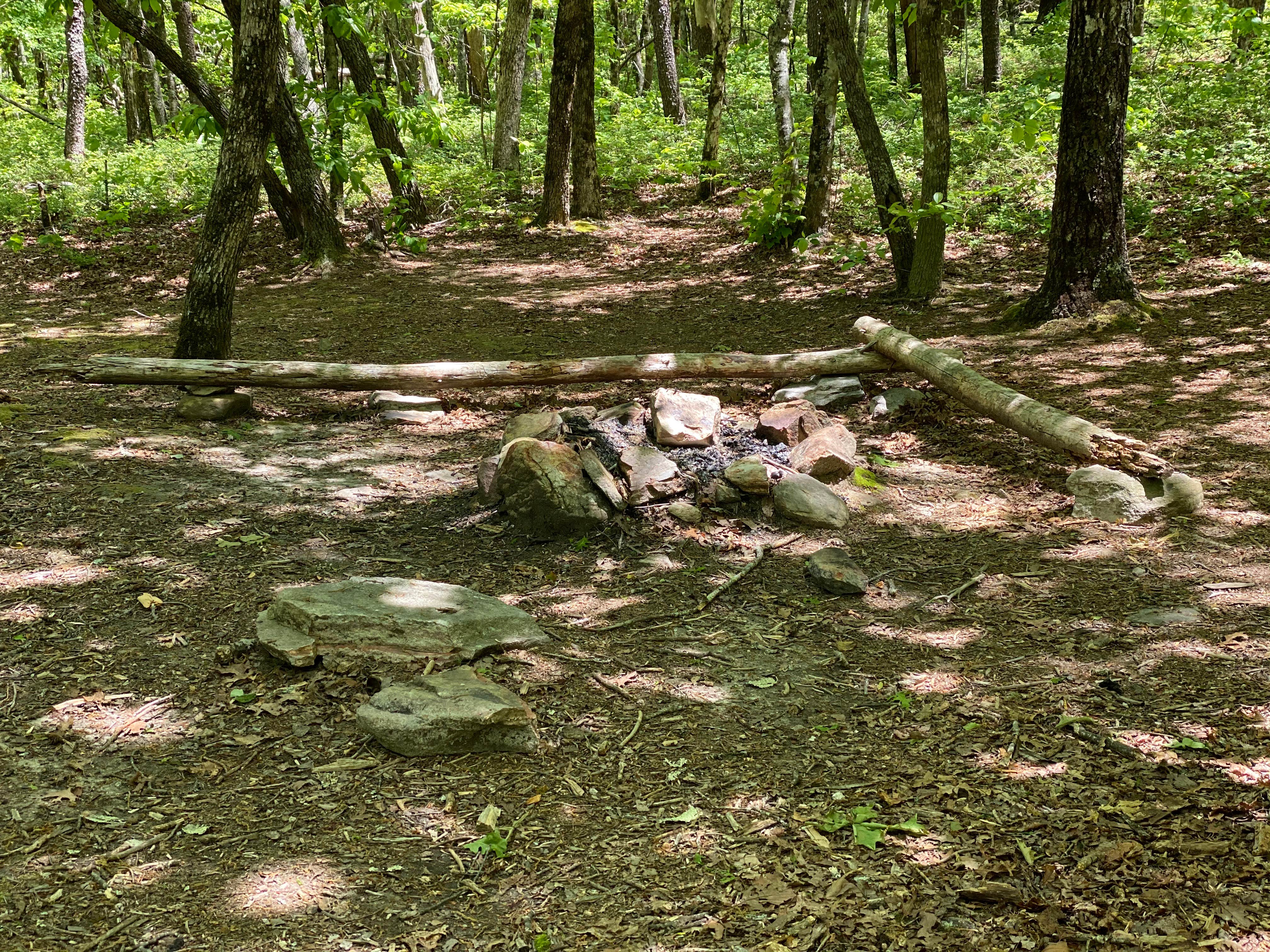 Camper submitted image from Pinhoti Backcountry Campground near Odum Trail - 5