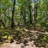 Review photo of Pinhoti Backcountry Campground near Odum Trail by Asher K., December 13, 2020