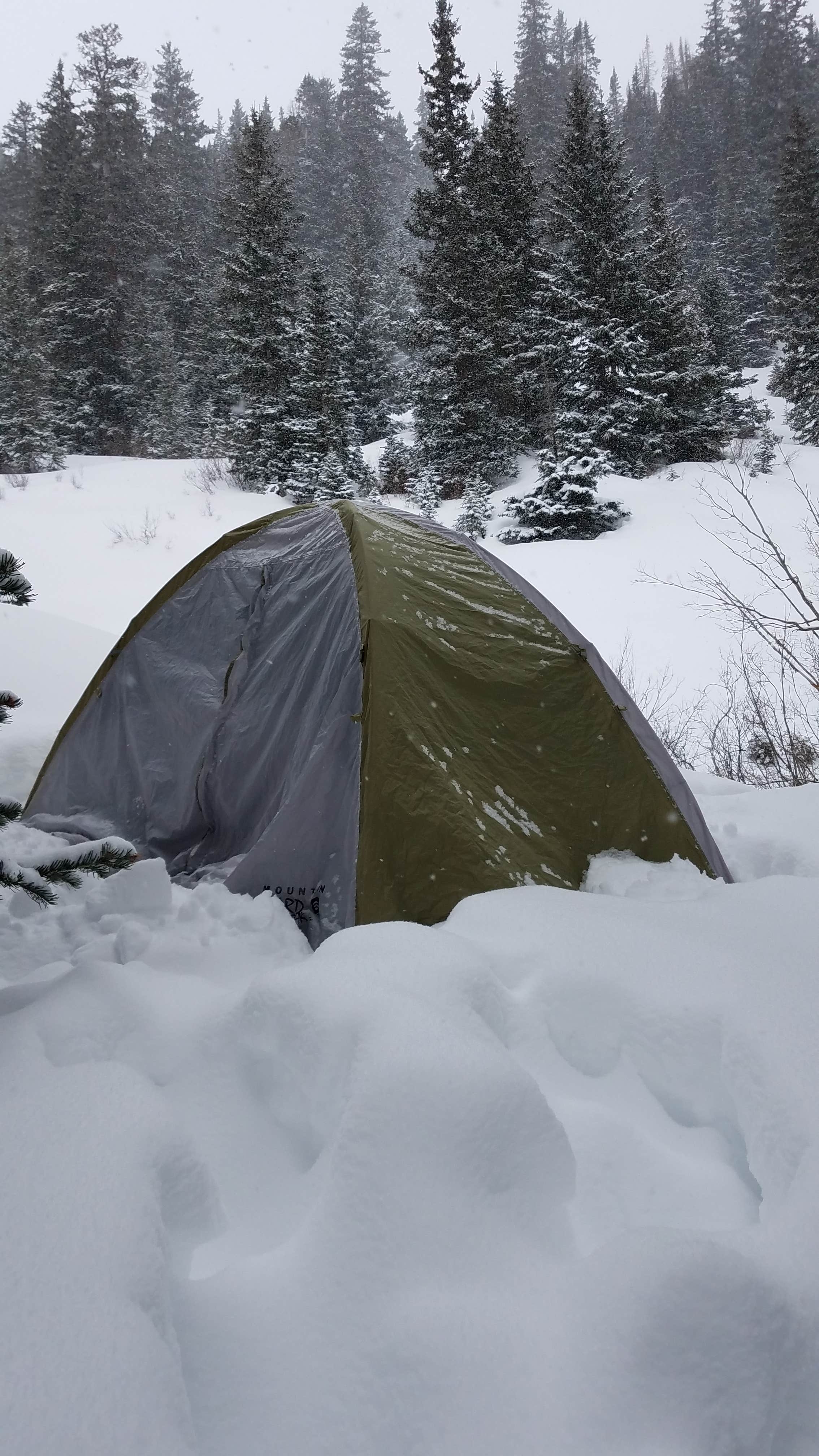 Camper-submitted photo at Conundrum Hot Springs Dispersed Campgrounds near Crested Butte, CO