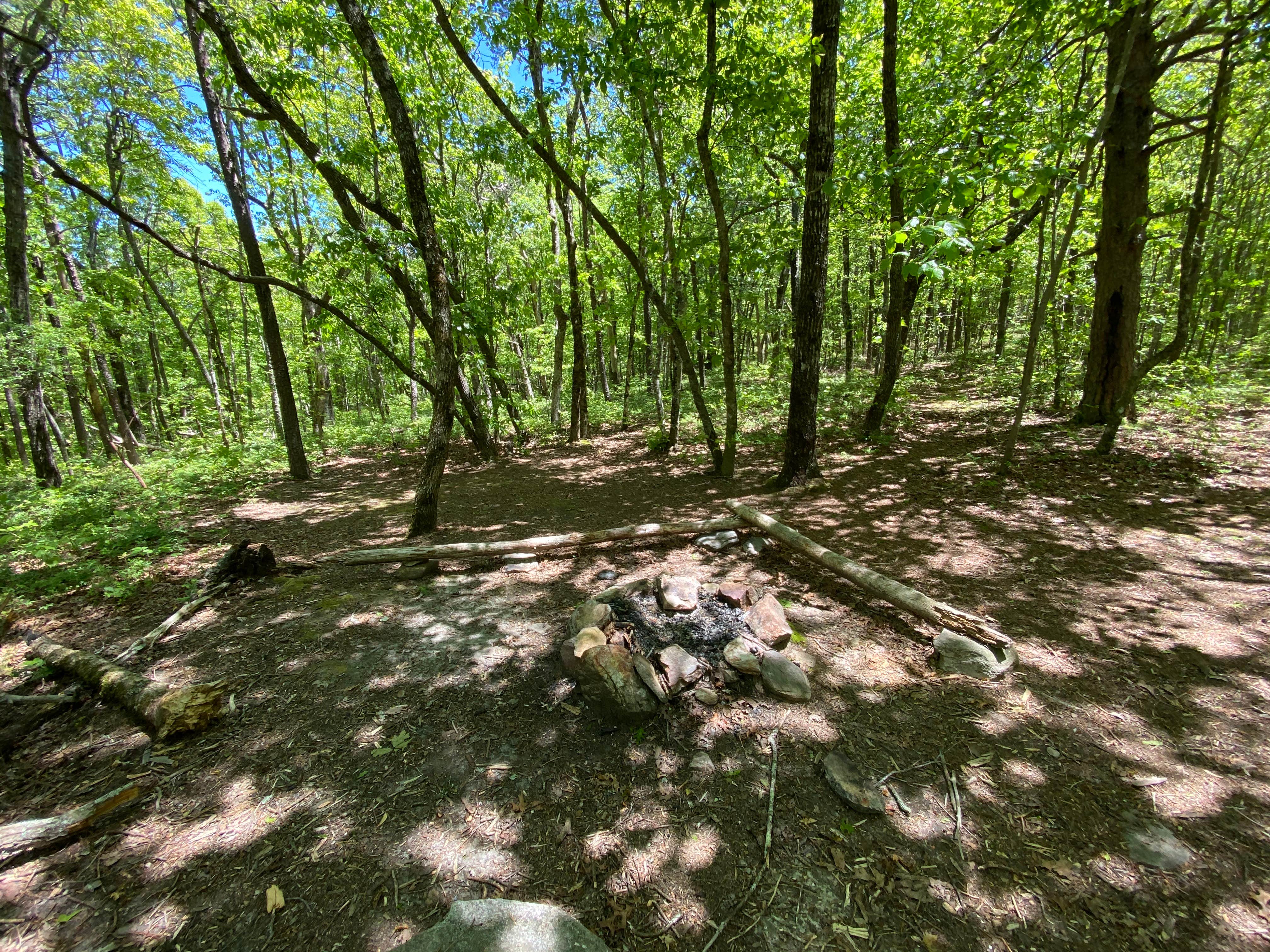 Camper-submitted photo at Pinhoti Backcountry Campground near Odum Trail near Carrollton, GA