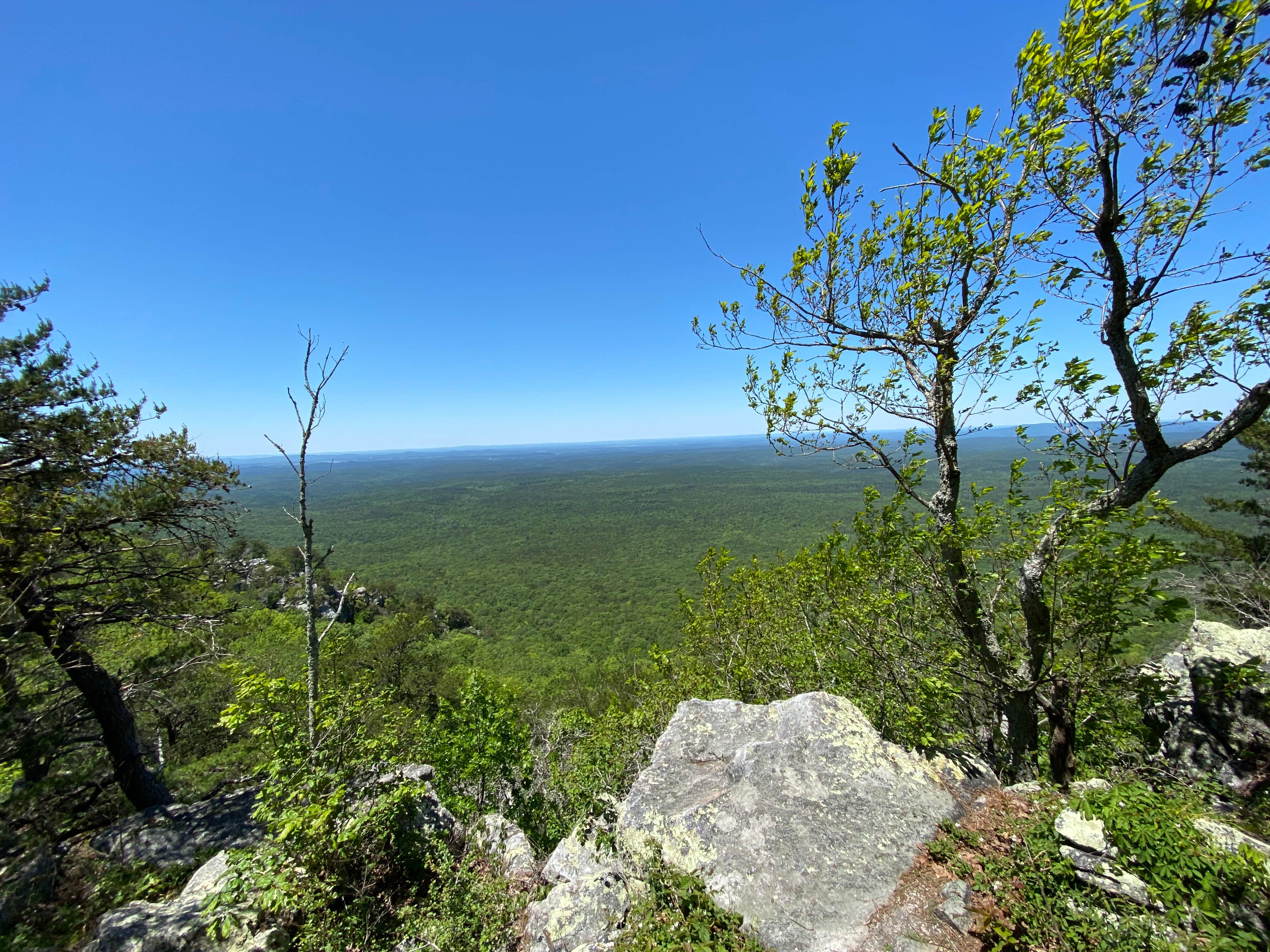 Camper-submitted photo at Pinhoti Backcountry Campground near Odum Trail near Carrollton, GA