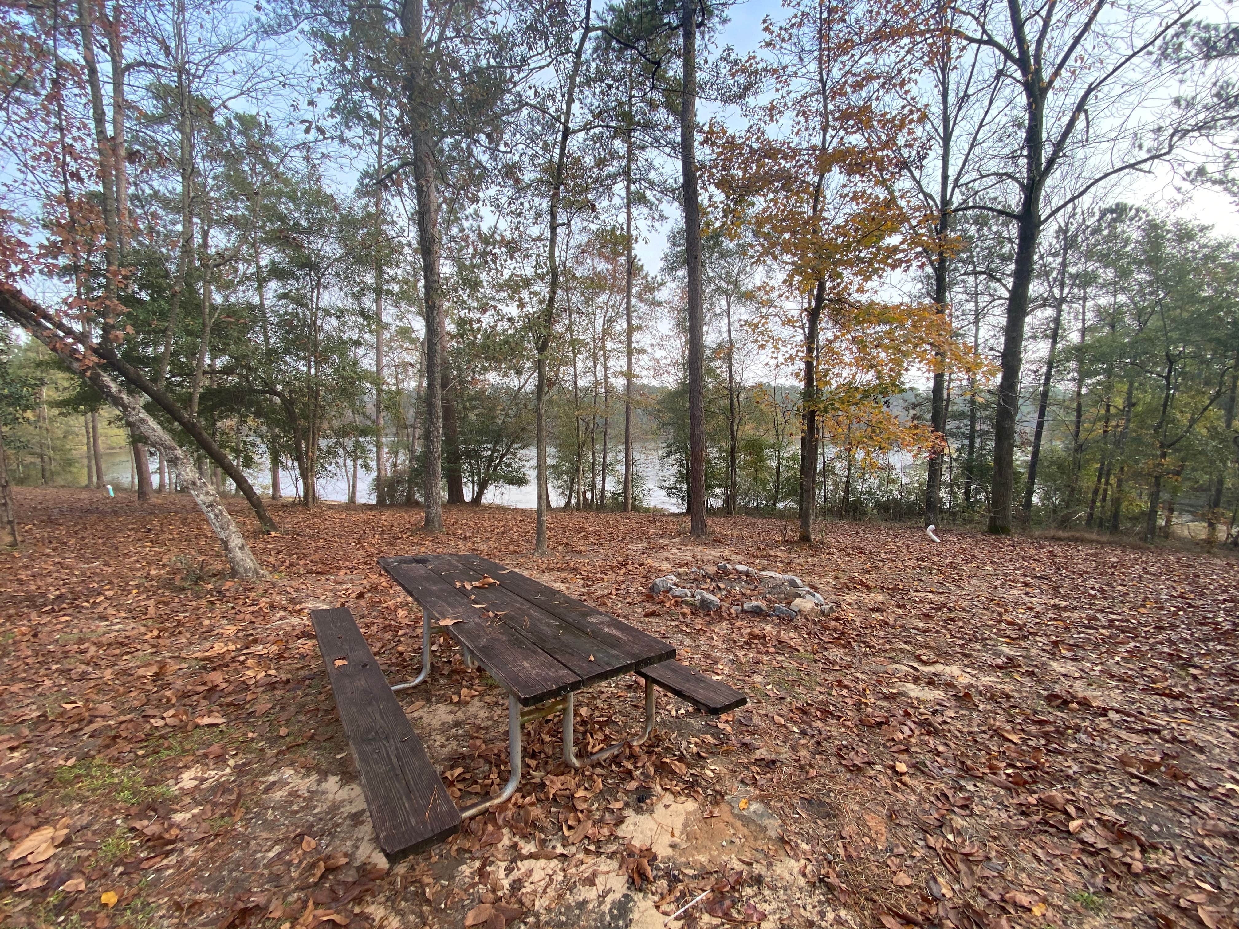 Camper-submitted photo at Flint Creek Waterpark near Beaumont, MS
