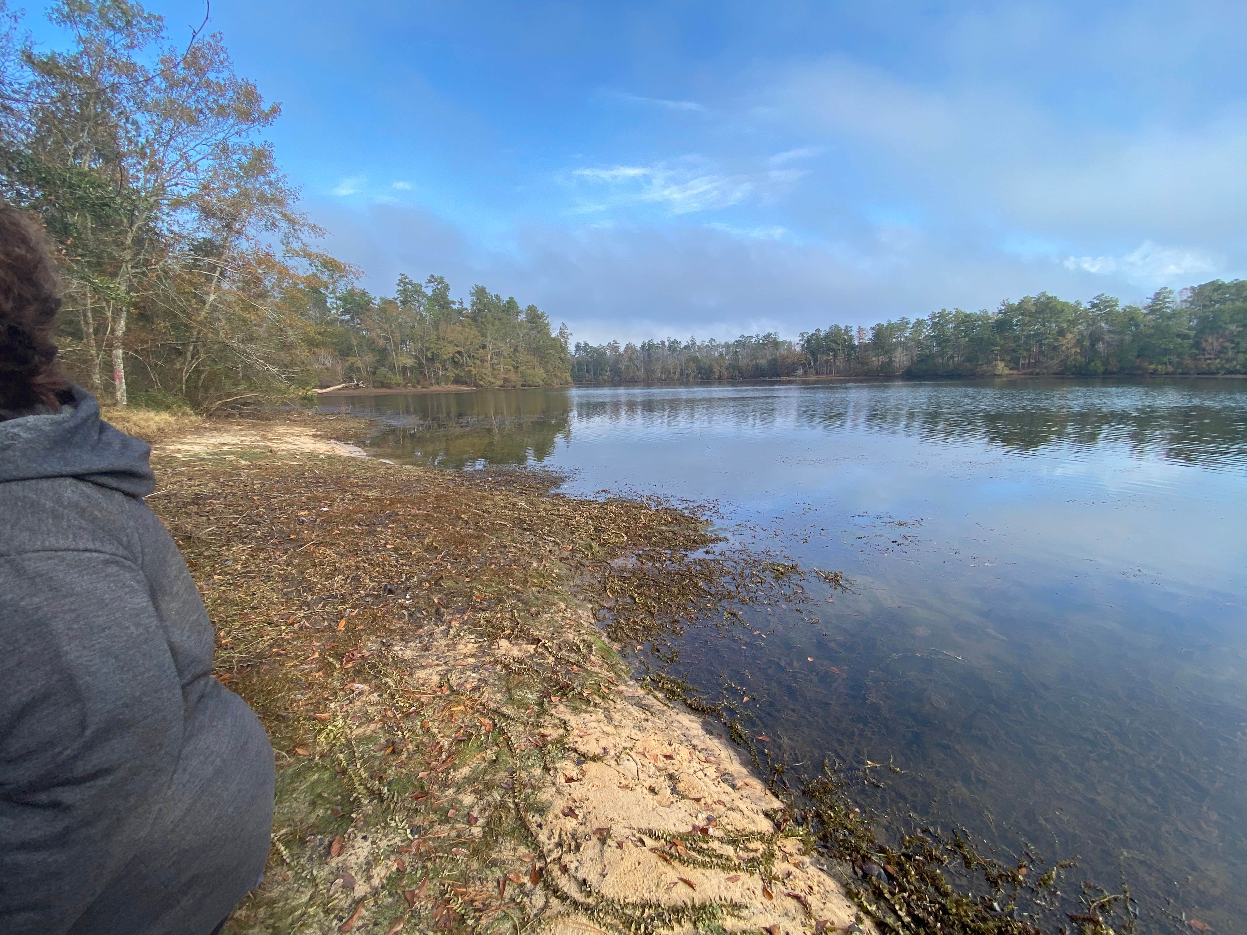 Camper-submitted photo at Flint Creek Waterpark near Beaumont, MS