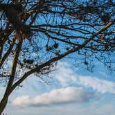 Review photo of Thousand Trails Lake Conroe by Robert M., December 13, 2020