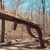 Review photo of Monte Sano State Park Campground by Billy , December 13, 2020