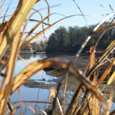 Review photo of Thousand Trails Colorado River by Robert M., December 13, 2020