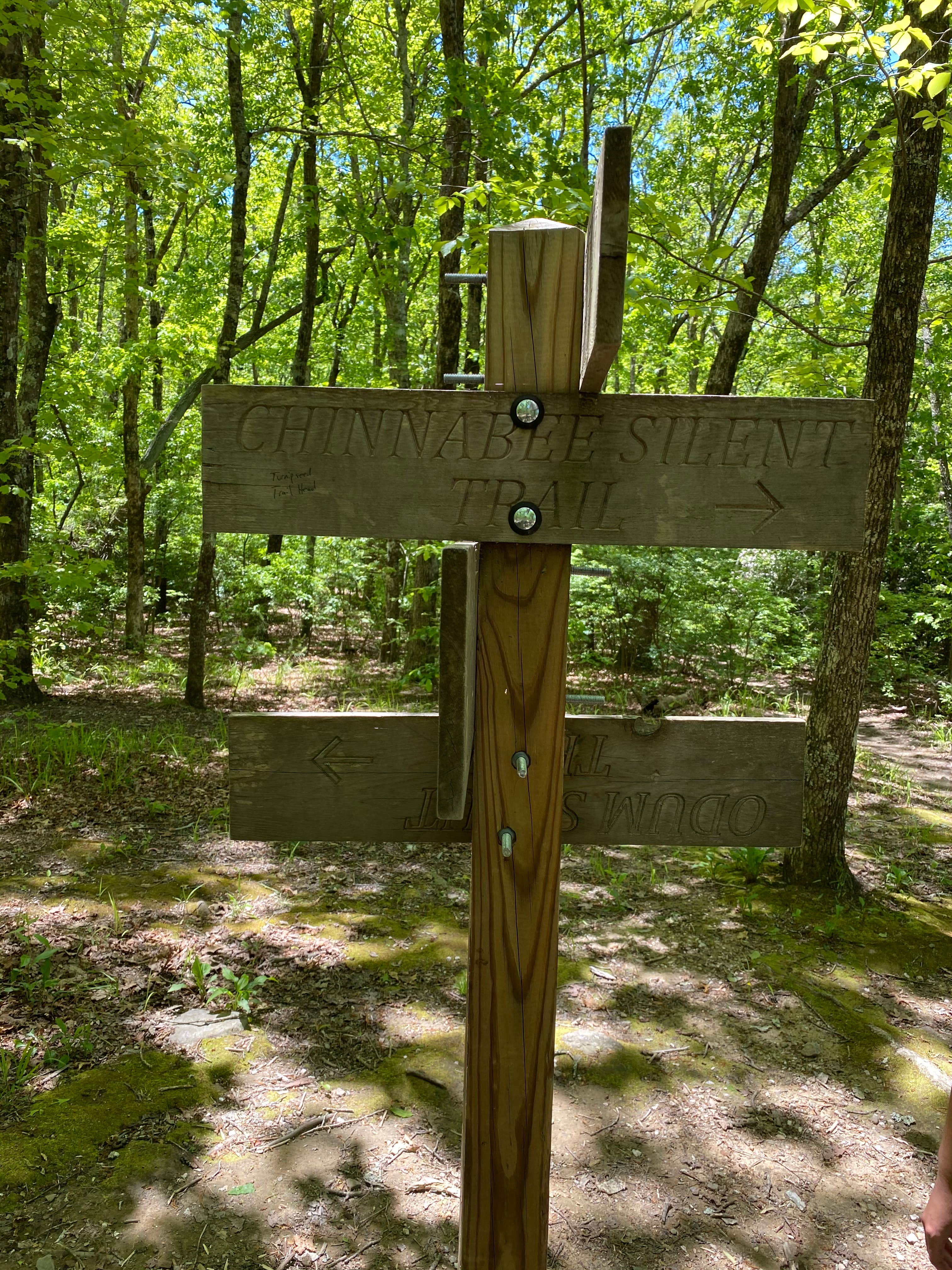 Camper-submitted photo at Pinhoti and Skyway Loop Intersection Campground near Lineville, AL