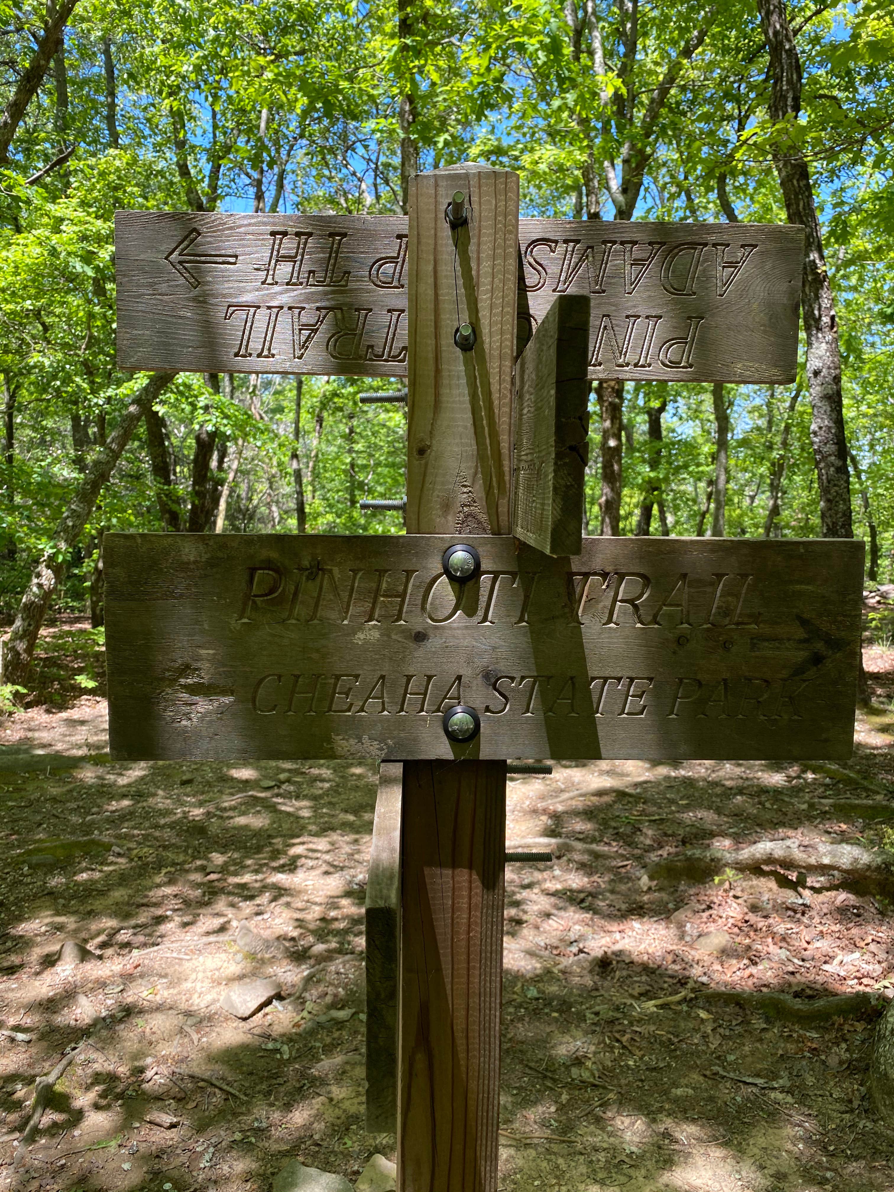 Camper-submitted photo at Pinhoti and Skyway Loop Intersection Campground near Lineville, AL