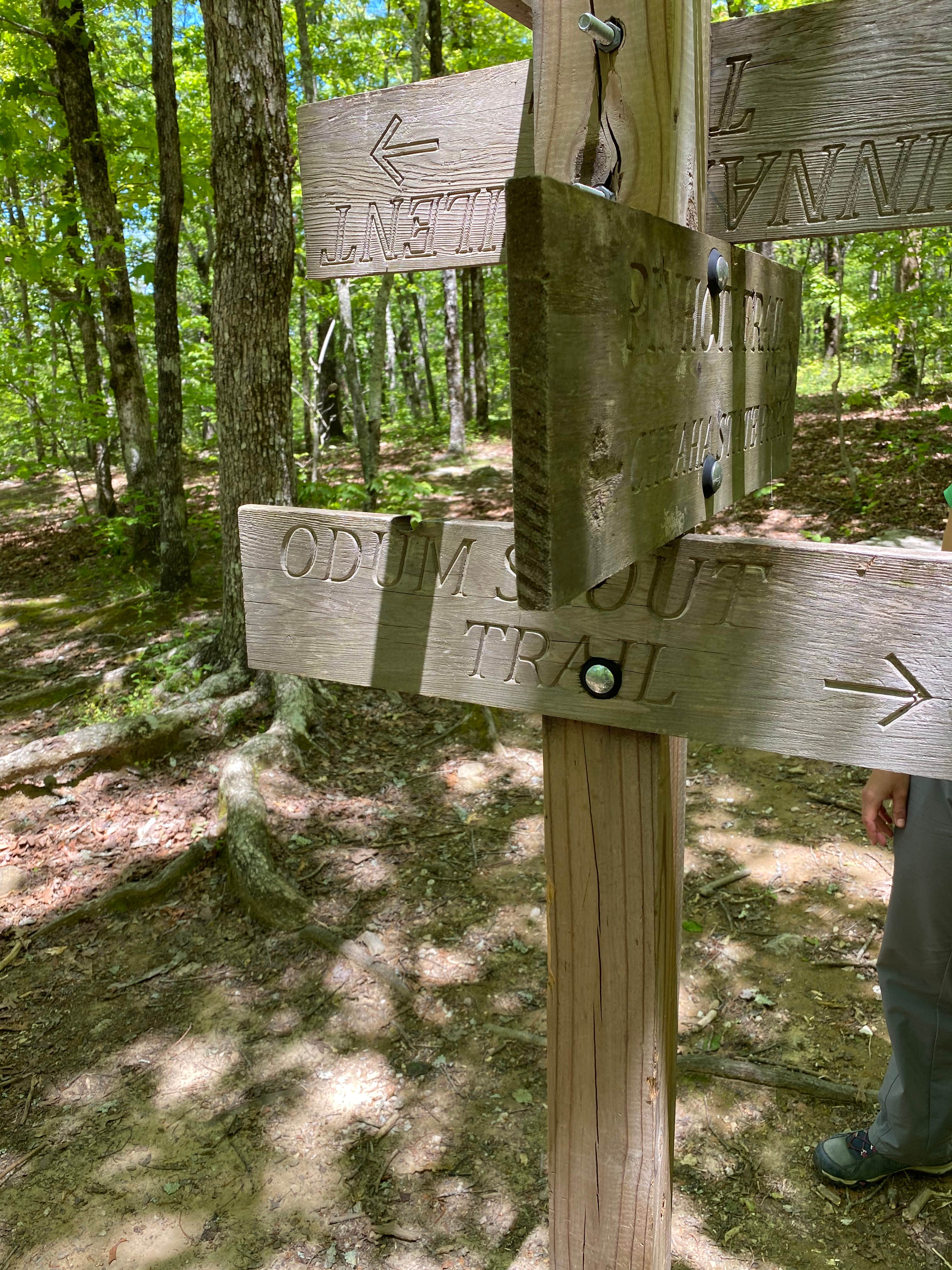 Camper-submitted photo at Pinhoti and Skyway Loop Intersection Campground near Lineville, AL
