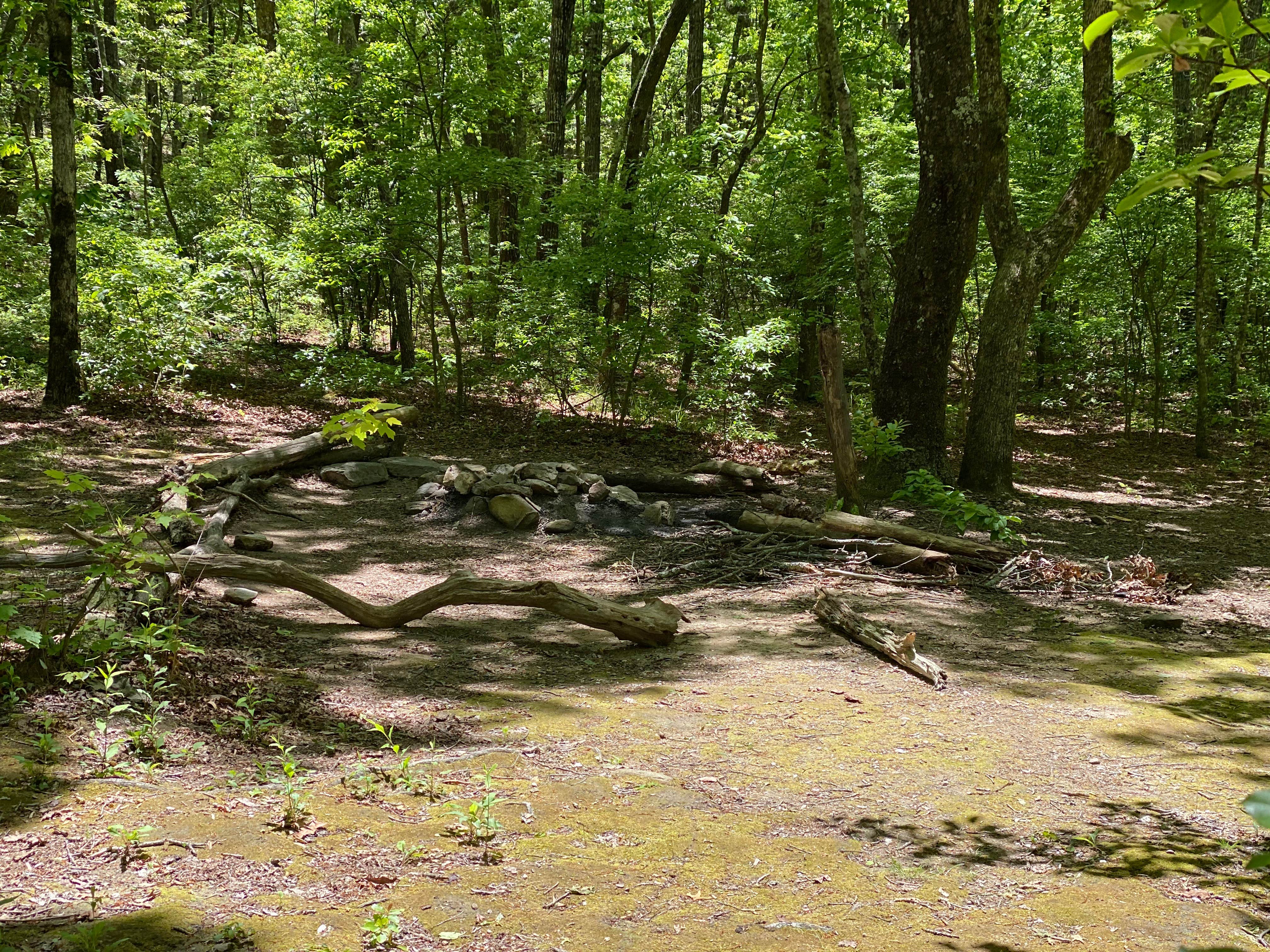 Camper-submitted photo at Pinhoti and Skyway Loop Intersection Campground near Lineville, AL
