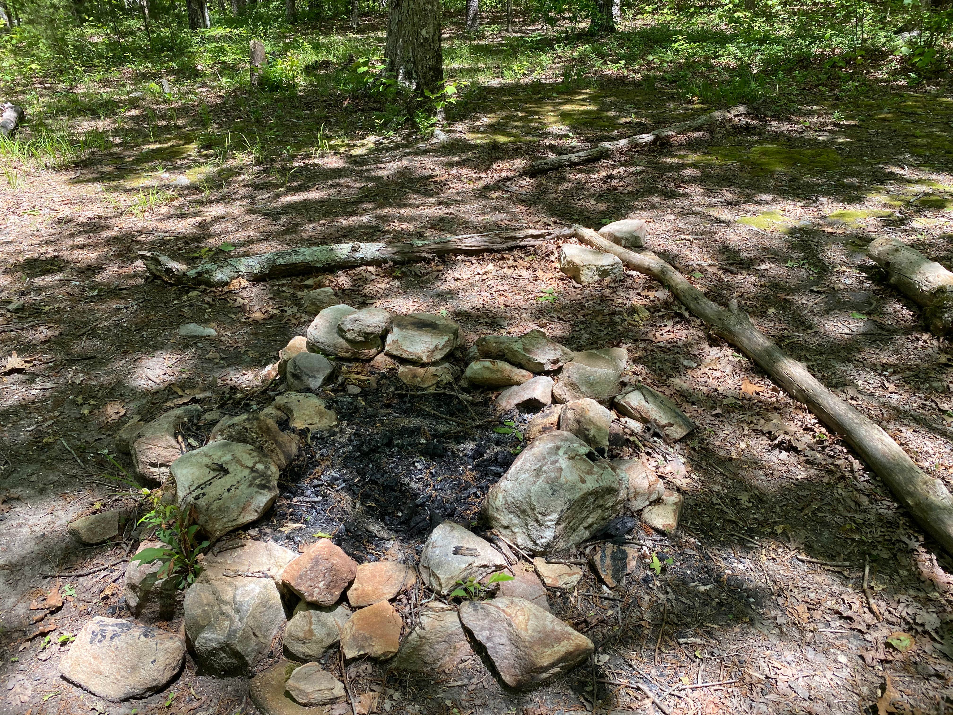 Camper-submitted photo at Pinhoti and Skyway Loop Intersection Campground near Lineville, AL