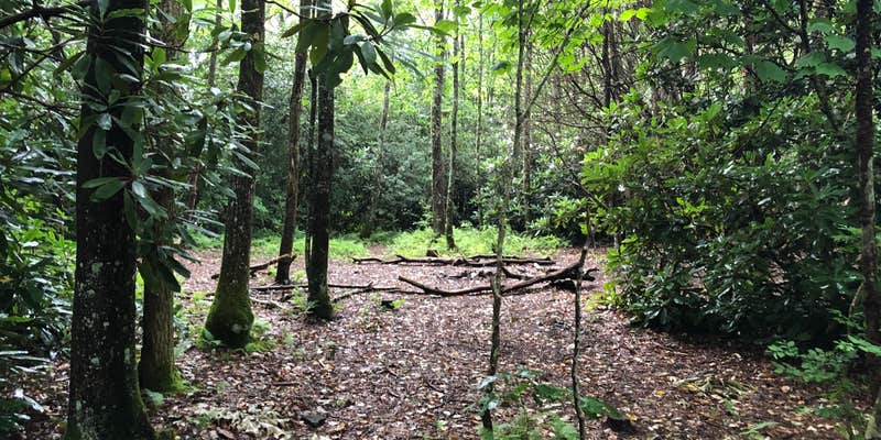 Camper submitted image from Bearpen Gap Backcountry Site