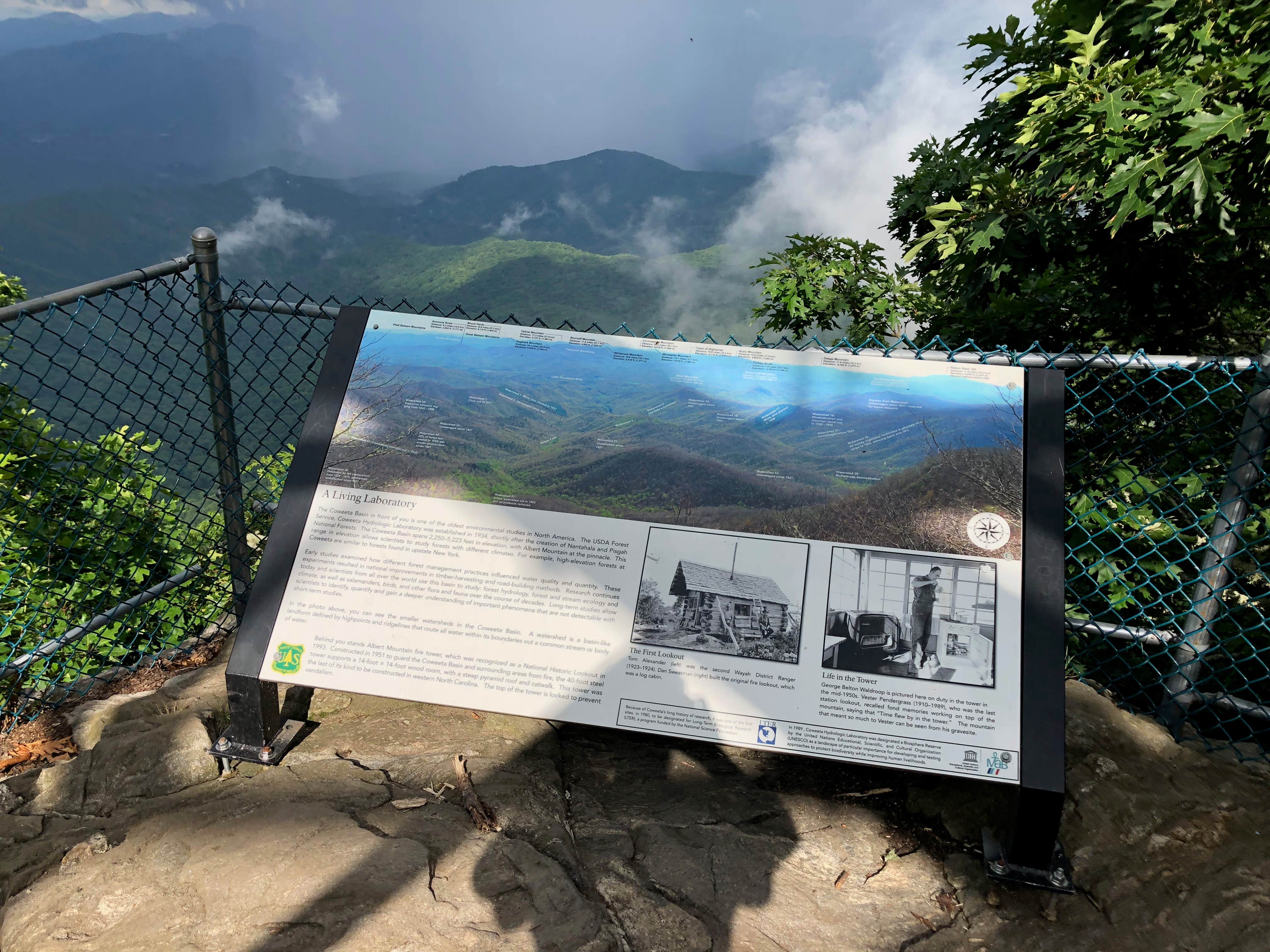 Asher K.'s photo of tent camping at Bearpen Gap Backcountry Site near Dillard, GA