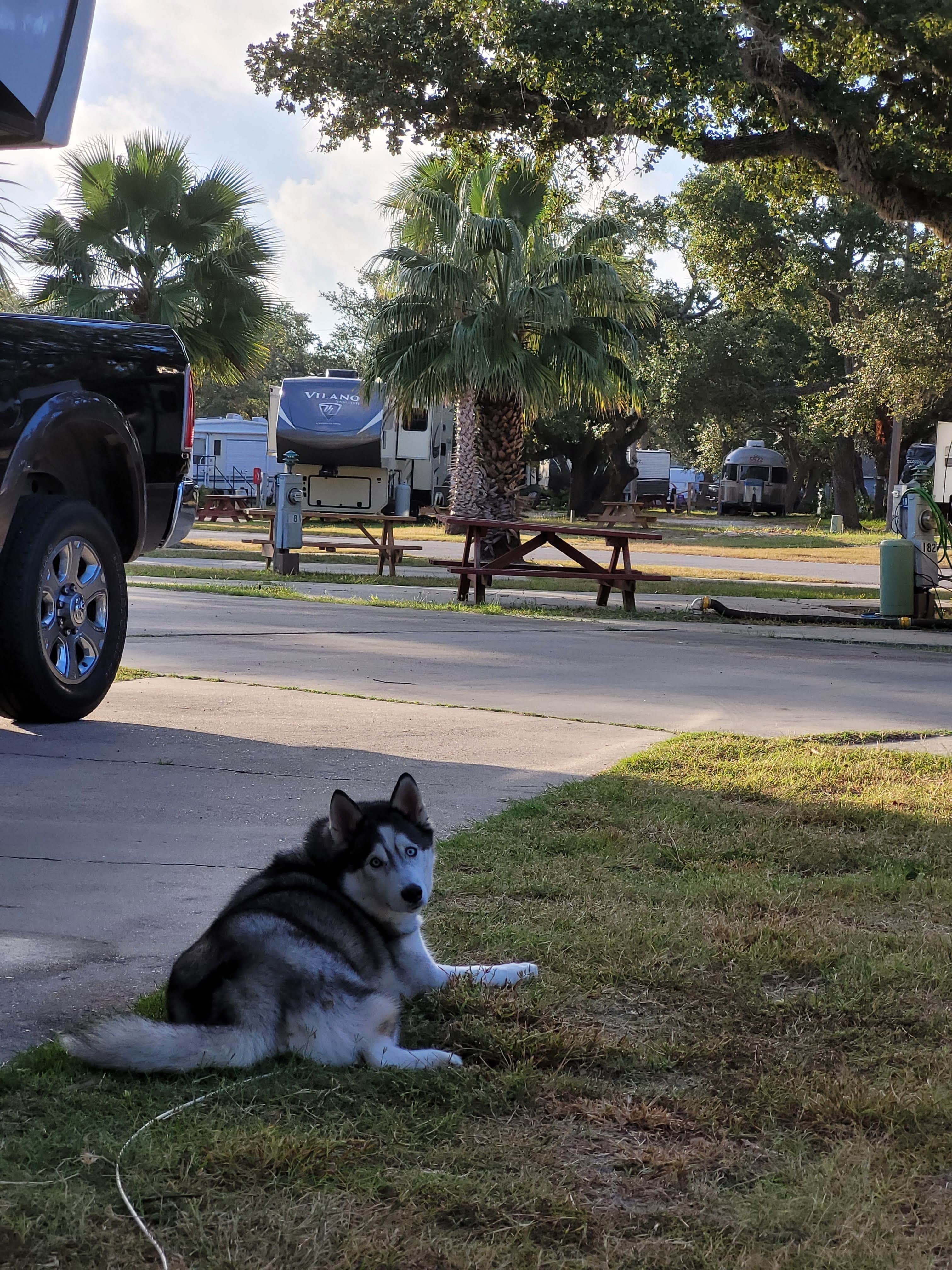 Camper-submitted photo at Sandollar Resort & RV Park near Fulton, TX