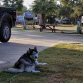 Review photo of Sandollar Resort & RV Park by Lisa E., November 30, 2020