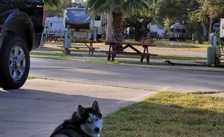 Lisa E.'s photo of camping with pets at Sandollar Resort & RV Park near Fulton, TX