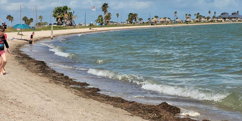 Camper submitted image from Sandollar Resort & RV Park