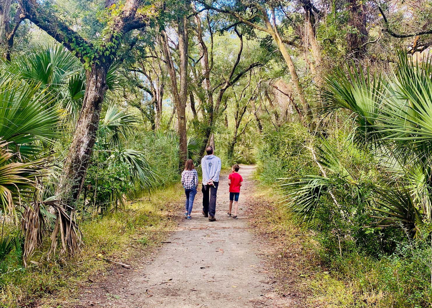 Edisto Beach State Park Camping Camping | The Dyrt