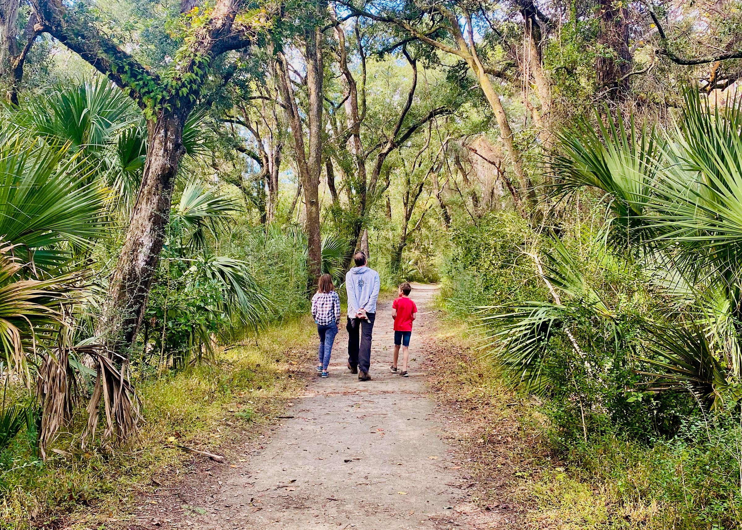 Camper submitted image from Edisto Beach State Park Campground - 1